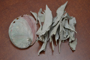 Cleansing! Loose White Sage With Mini Abalone Shell